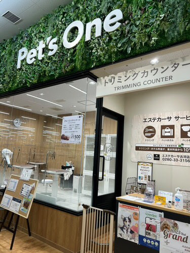 エステカーサ 古河店